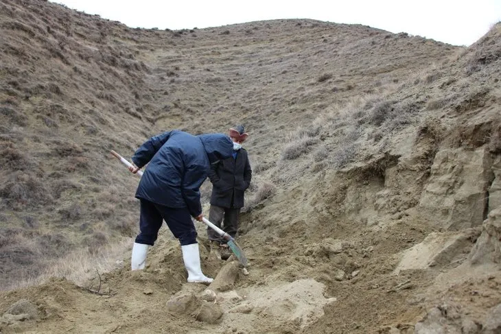 Köylüler içme suyu ararken buldu! Mamut fosili olabilir