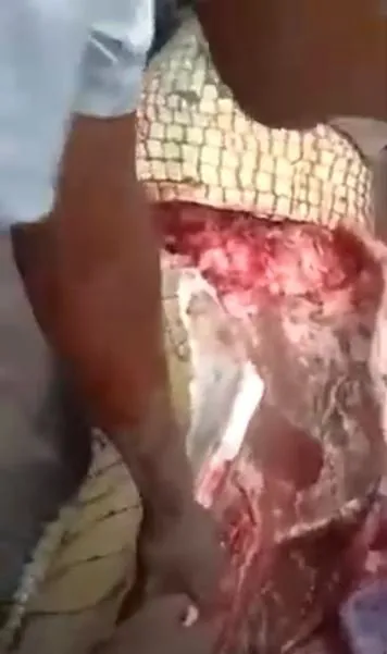 Timsahın karnından insan çıktı! Kan donduran anlar böyle görüntülendi...