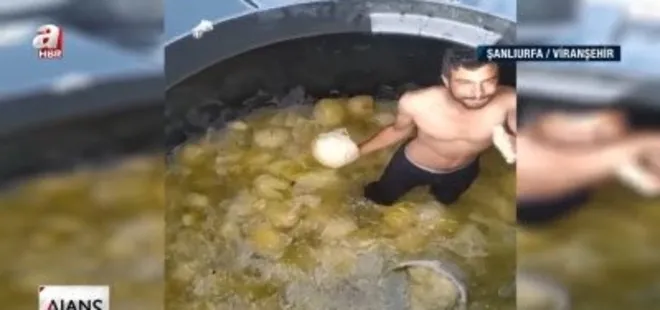 Son dakika | Turşu fabrikasında skandal görüntüler! Elbiseleriyle daldı şarkı söyleyip dans etti