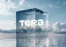 Tera Grubundan KAP açıklaması