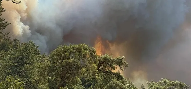Ciğerlerimiz yanıyor! Alevler evlere sıçradı