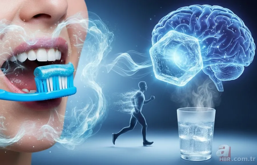 Naneli sakızın arkasındaki sır belli oldu! Aslında beyninizi kandırıyor 1