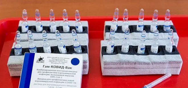 Sen misin aşıyı tescil etmeyen! Rusya, Brezilya’ya dava açıyor