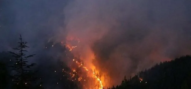 Kaş ve Erdek’teki orman yangınları kontrol altına alındı