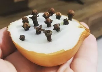 Doğal antibiyotik! Gece başucunuza koyun tüm hastalıklardan korunun