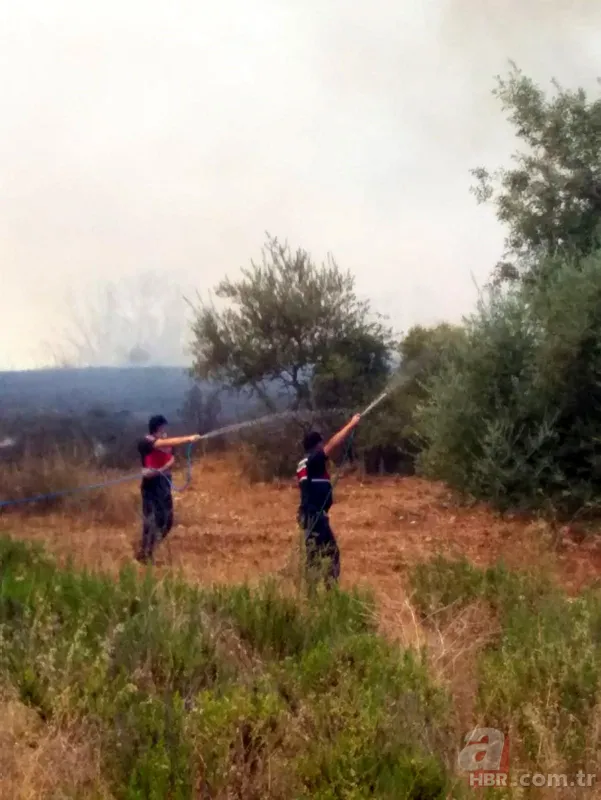 Son dakika: Antalya Manavgat'ta orman yangını! Alevler yerleşim yerlerine sıçradı 23