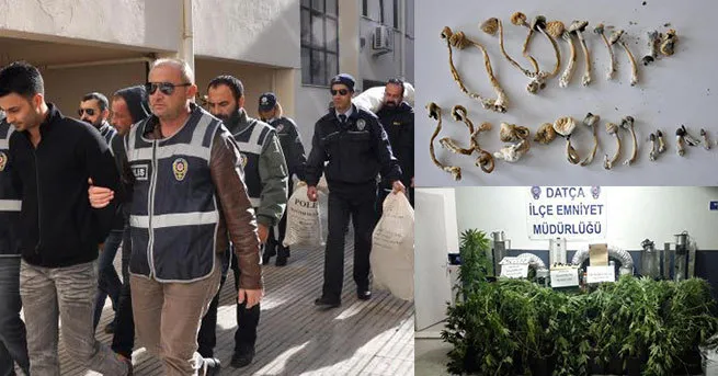 Lüks villada 'Sihirli Mantar' ele geçirildi - 1