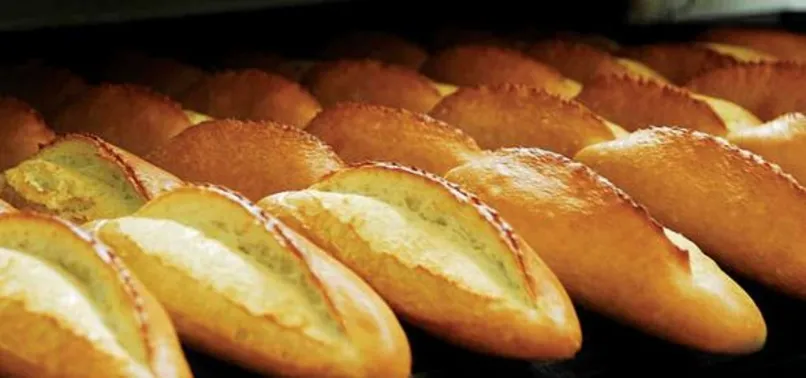 GDO'lu ekmek analizinde son gün