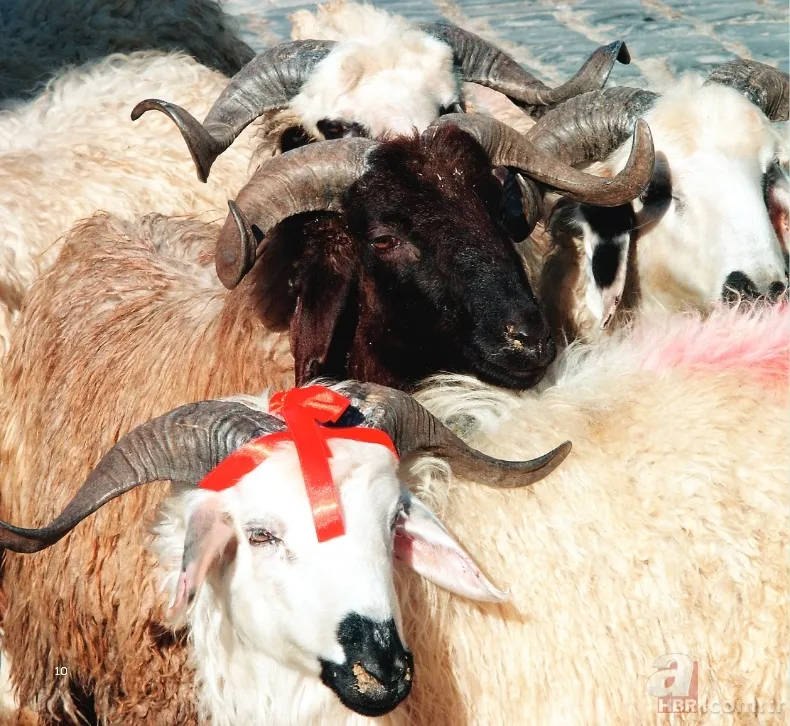 Kurban Bayramı ne zaman? Kurban Bayramı tatili kaç gün? 7