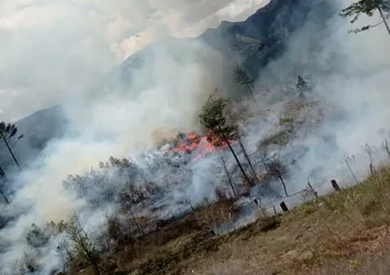Orman yangını hızlı müdahaleyle söndürüldü