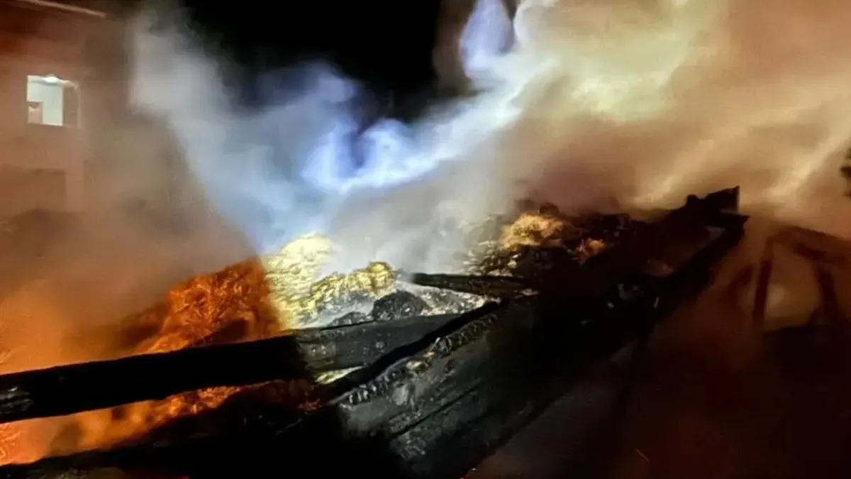 Sinop'ta samanlık yangını