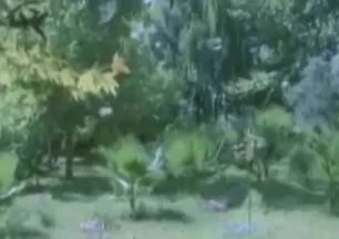 ’’Dağlar seni delik delik delerim’’