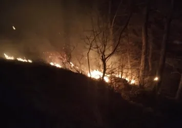 Son dakika: Osmaniye’de orman yangını