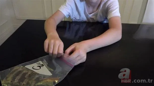 Otomobilde yılan paniği 14