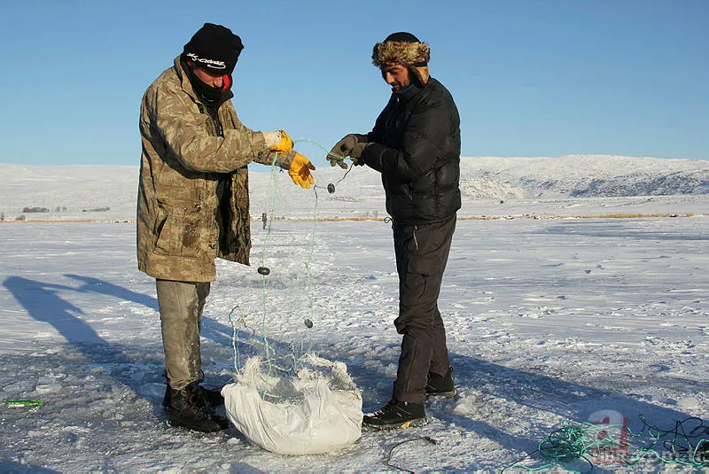 Erzincan'da eksi 20 derecede buzun altında balık avı! Onlarca balığı elleriyle böyle yakaladı: Güzel bir balık tutma tekniği 10