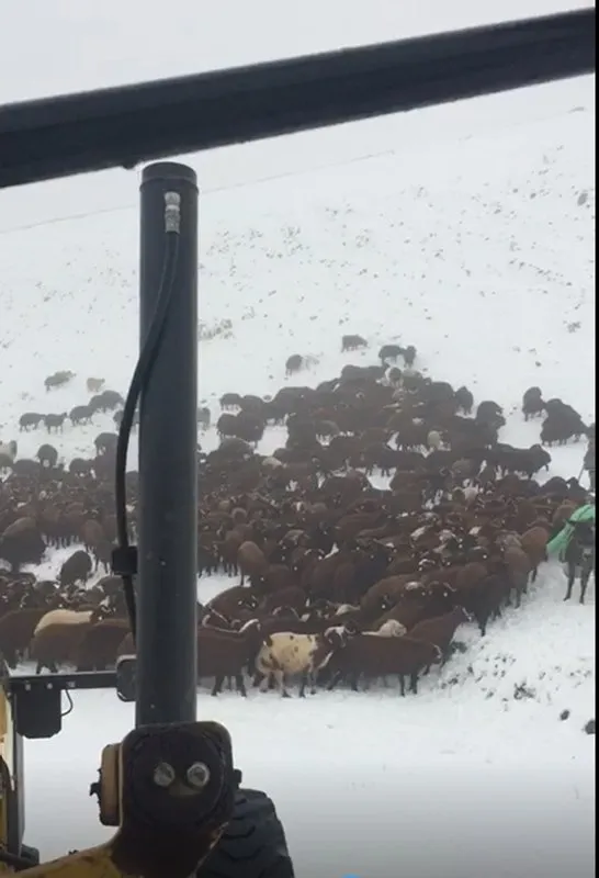 Ardahan’da kar kalınlığı 15 santimetreye ulaştı! Aceleyle inmek zorunda kaldılar