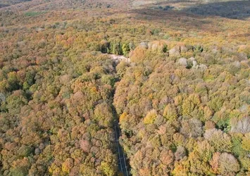 Belgrad Ormanı sonbahar renklerine büründü