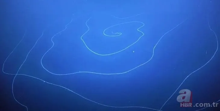 Bilim dünyasını şaşkına çeviren olay! Asırlara meydan okumuş! Tam 5 bin yıllık 16