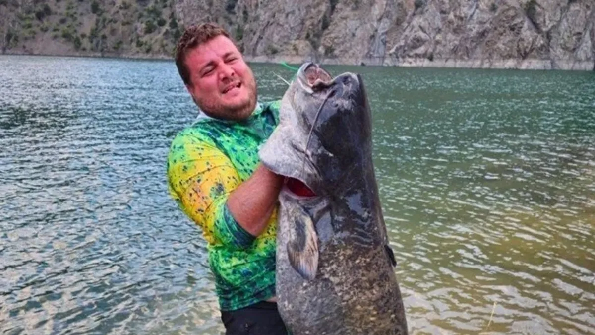 Baraj gölünde 100'er kilo ağırlığında 2 yayın balığı yakaladılar