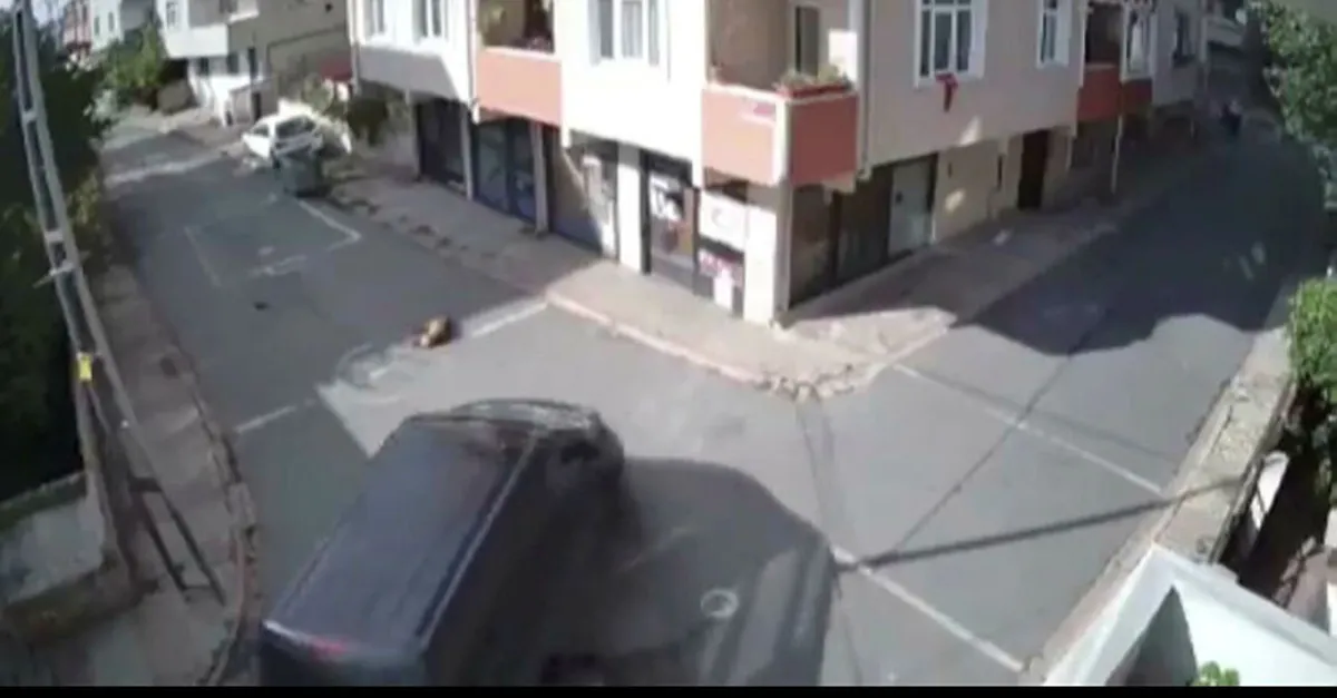 Yolda uyuyan köpeği ezip kaçtı