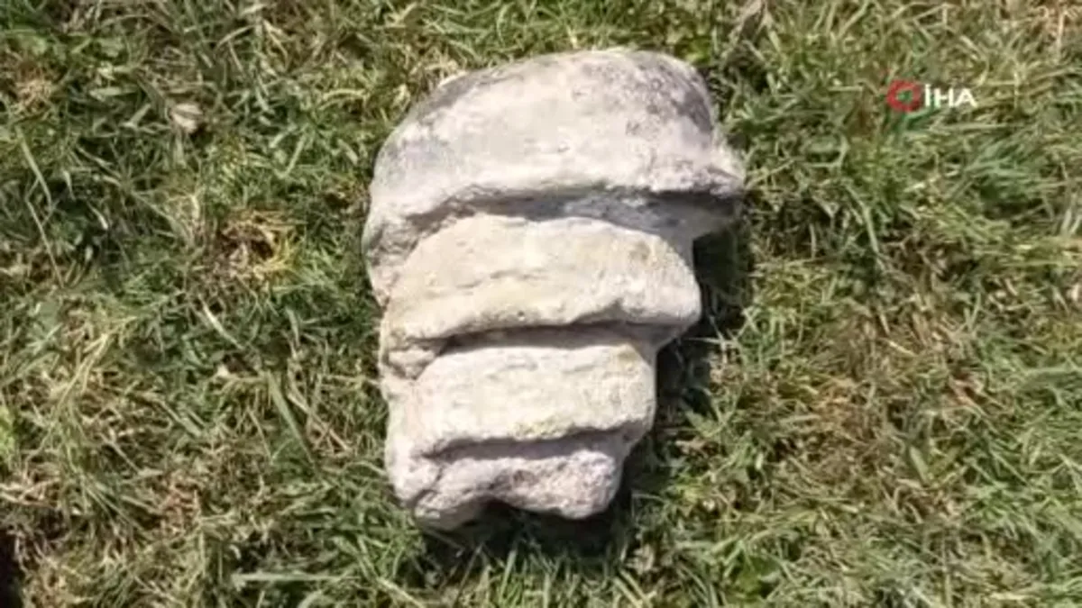 Yozgat'ta hayvan otlatırken fosil buldu