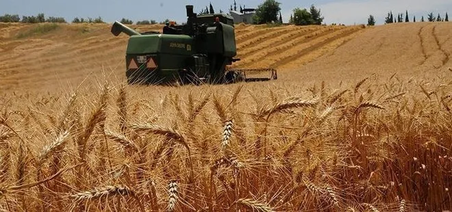 Son dakika: Başkan Erdoğan imzaladı! Buğday, arpa ve mısırda gümrük vergisi sıfırlandı