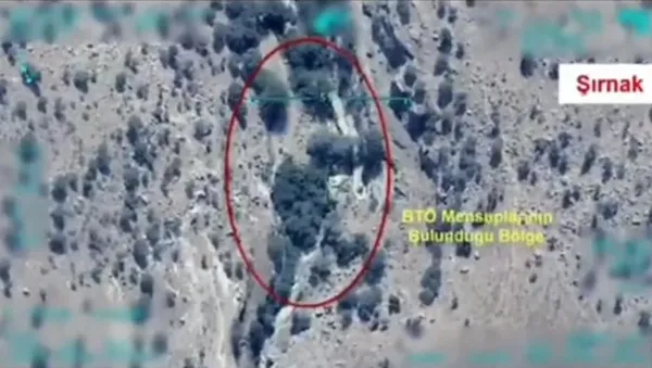 Şırnak ve Diyarbakır’da PKK’ya darbe! Kırmızı kategorideki terörist öldürüldü