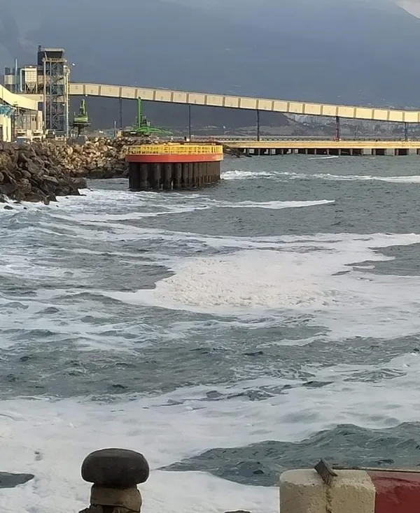 1623591621014.jpg Hatay'da ortaya çıktı! Endişelendiren beyaz tabaka - 1