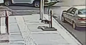 Dördüncü kattan düştü