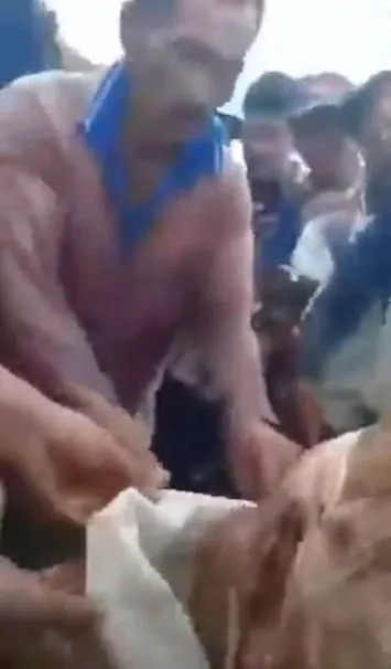 Timsahın karnından insan çıktı! Kan donduran anlar böyle görüntülendi...