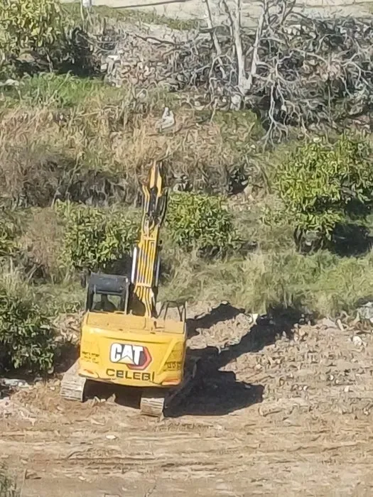 CHP’li Narlıdere Belediyesi’nden ağaç katliamı! Bakanlık olaya el koydu