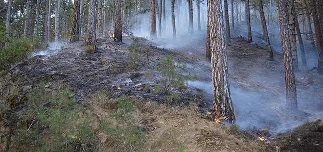 Çorum'daki orman yangını söndürüldü! Vali Dağlı'dan açıklama