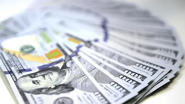 dolar-kuru-canli-fiyatlar-dolartl-ne-kadar-bugun-dolar-kac-tl-2022-guncel-dolar-yorumlari-son-dakika-haberler-1657101076454.jpg SON DAKİKA! Dolar kaç TL? Bugün dolar kuru ne kadar? Dolar kuru canlı fiyatlar ve güncel dolar yorumları - 12