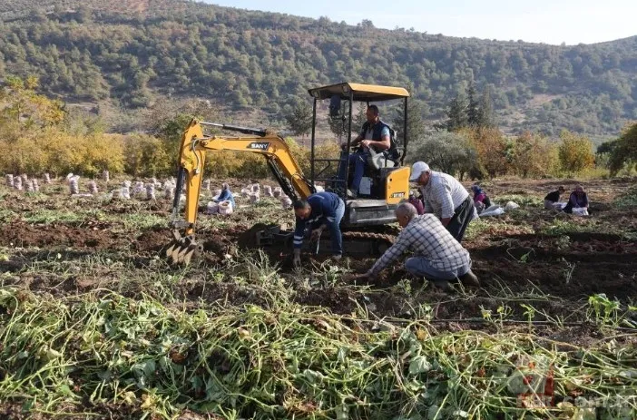 Tarlada 30 manavda 70 TL! Kuraklık vurdu verim yarıya indi 3