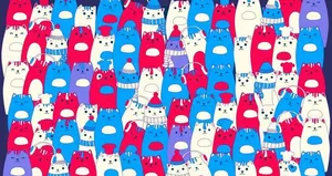 Şahin gibi gözleri olanlar tavşanı 10 saniyede buluyor!