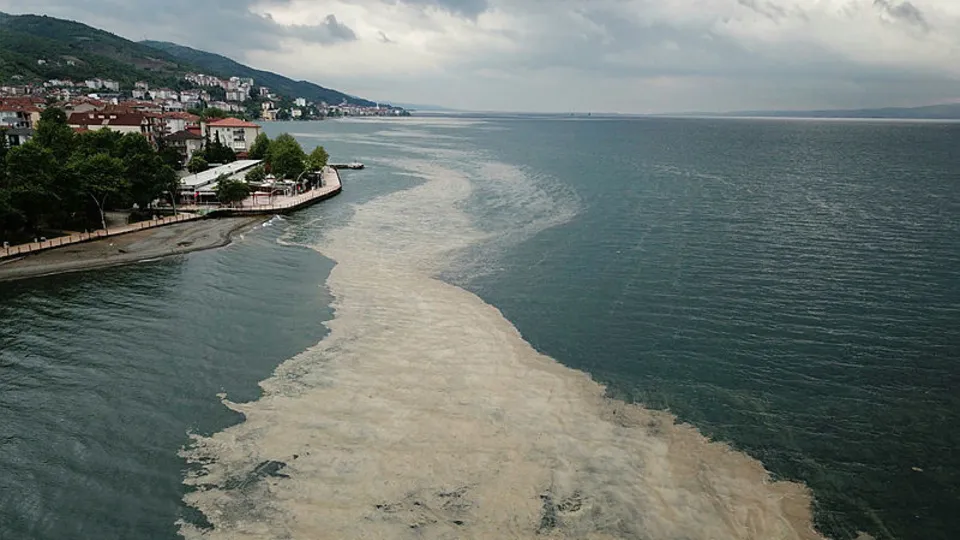 TBMM Araştırma Komisyonu'ndan dikkat çeken müsilaj raporu: Yakıt olur mu?
