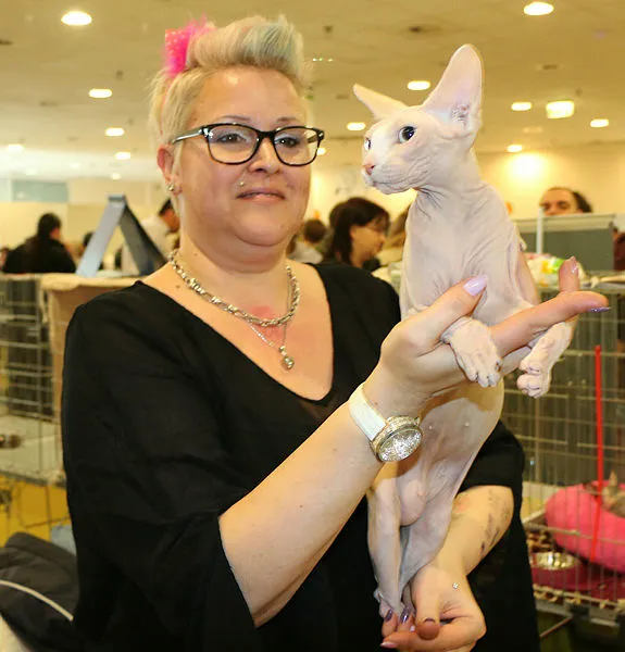 Tüysüz kedi Dior'u için teklif edilen 500 bin TL'yi sahibi reddetti - 2