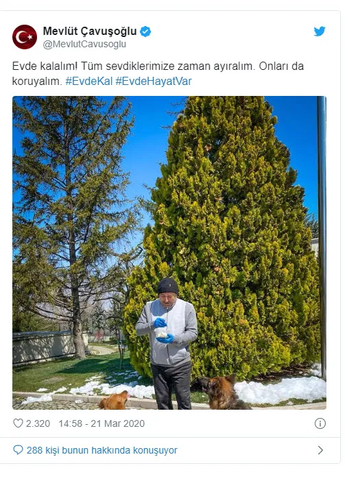 Dışişleri Bakanı Çavuşoğlu'ndan "Evde kal Türkiye" çağrısına destek - 1