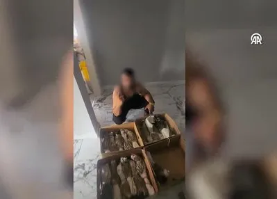 Avlanması yasak kuşları...