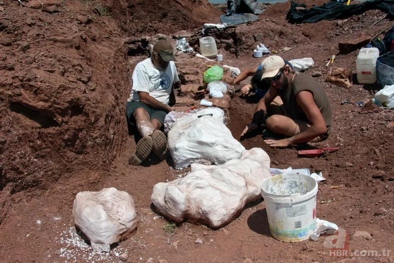Son dakika: Yeryüzündeki en büyük hayvan bulundu! Böylesi daha önce görülmedi! Tam 98 milyon yıllık! Görenler şokta 3