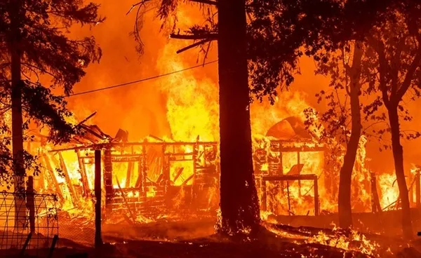 Son dakika: İçişleri Bakanlığından 81 ilin valiliklerine orman yangını uyarısı: Tedbirler tek tek sıralandı - 4