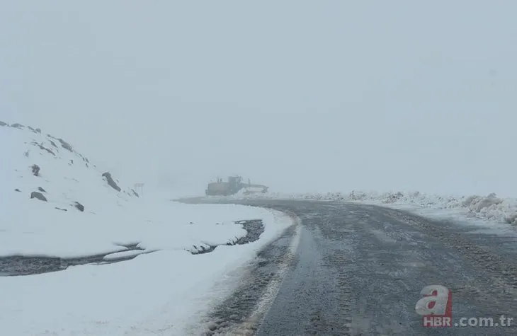 Artvin’e kış geri geldi! Kar kalınlığı 5 santimetreyi aştı: Köy yolları kapandı