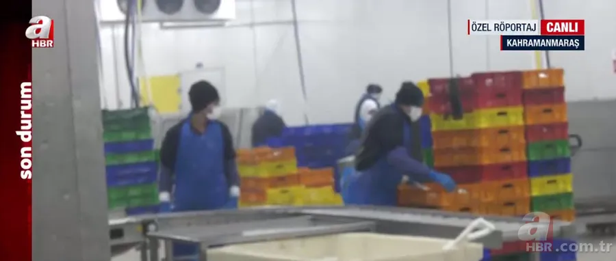 A Haber felaketin yıl dönümünde bölgede! Tarım ve Orman Bakanı İbrahim Yumaklı'dan A Haber'e özel açıklamalar 16