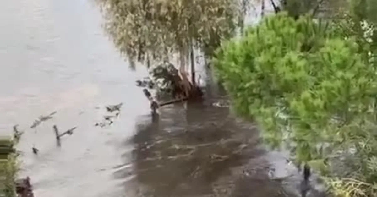 Son dakika: Ege'de meydana gelen deprem sonrası İzmir'de tsunami paniği