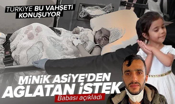 Son dakika: Pitbull vahşetini yaşayan Asiye Ateş’ten ağlatan istek! Babası açıkladı