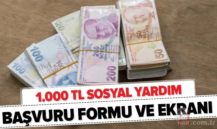 e Devlet 1.000 TL sosyal yardım başvuru formu ve ekranı! 3. faz yardım desteği şartları neler? Kimllere verilecek? 1