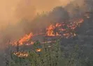 22 orman yangınından 20’si söndürüldü