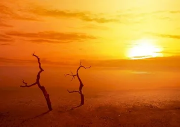 Meteoroloji hava durumu | İstanbul'da bugün hava nasıl olacak? 1 Temmuz Perşembe hava durumu