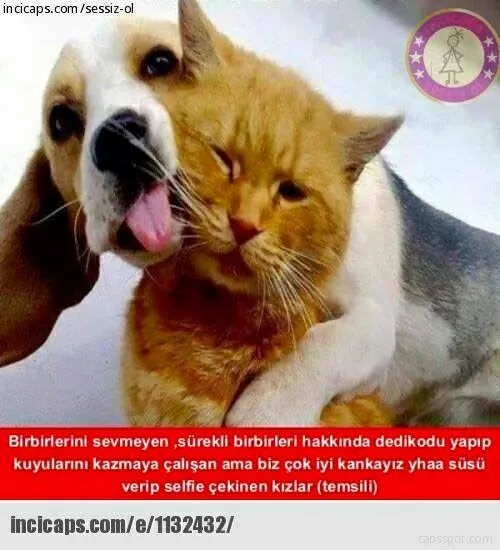 Sosyal medyayı sallayan Caps’ler