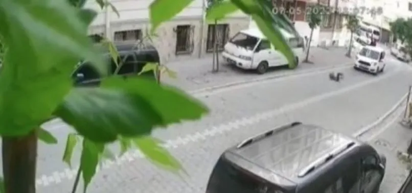 Esenyurt’ta trafik canavarı 5 yaşındaki çocuğa çarpıp kaçtı